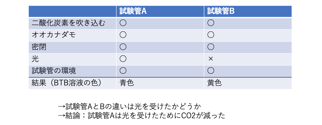 問題の中の実験