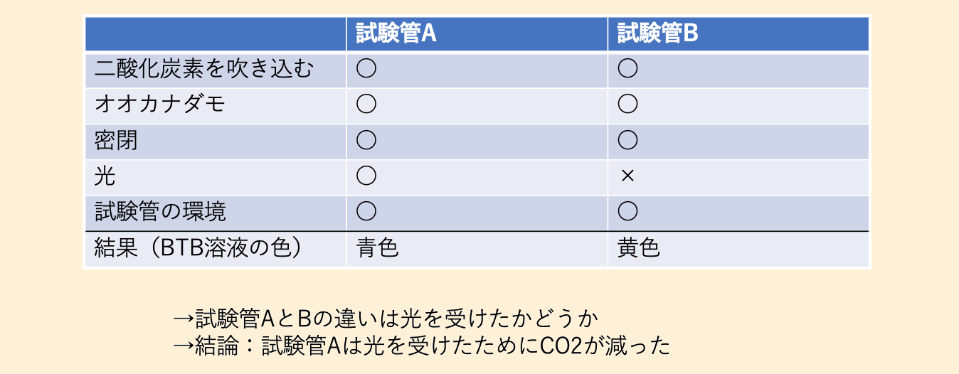 問題の中の実験