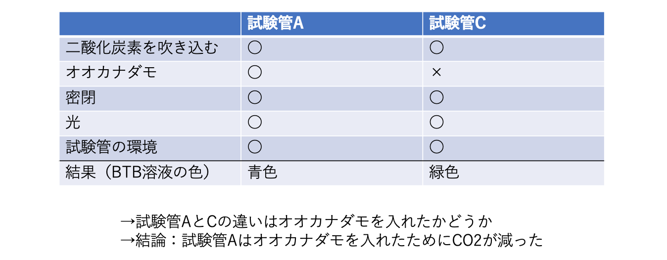 新しい実験