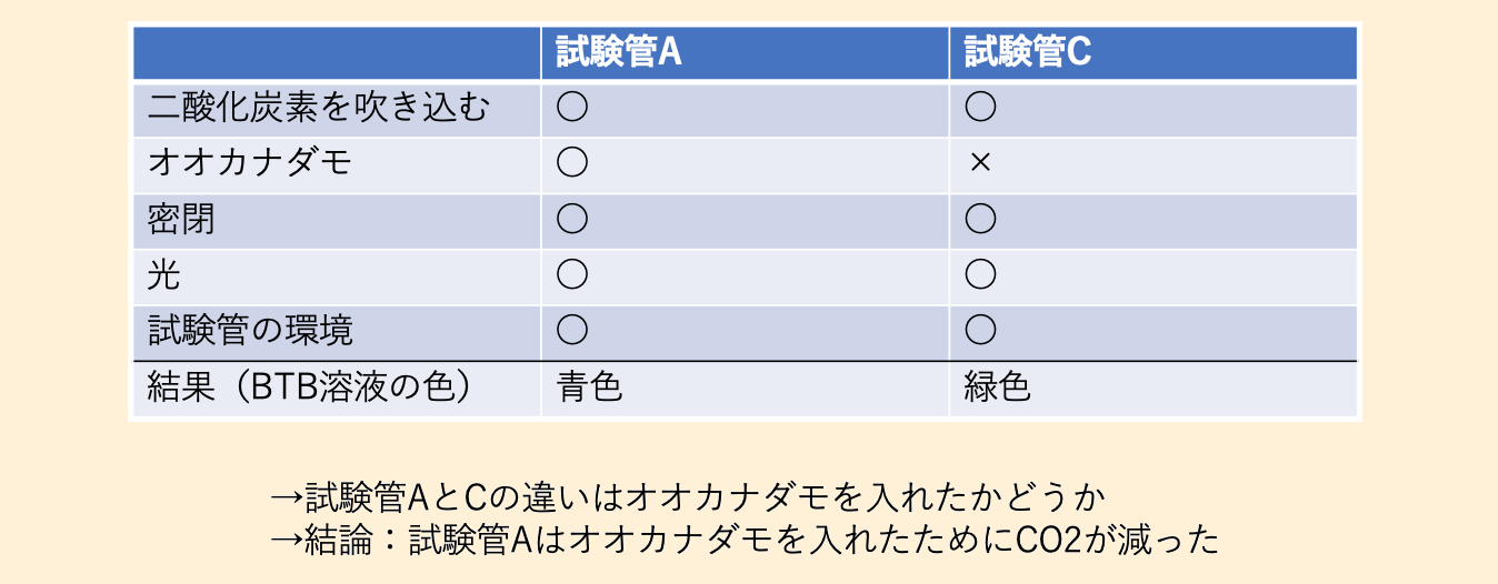 新しい実験